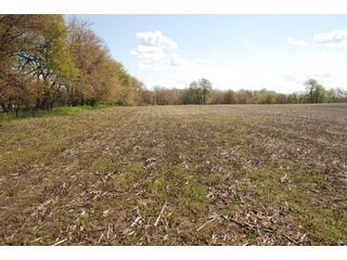 Property photo 10 - 100 +/- Acres Offered in 5 Tracts - Real Estate Auction