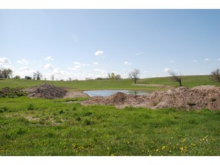 Property photo 13 - 100 +/- Acres Offered in 5 Tracts - Real Estate Auction