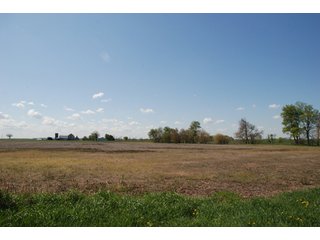 Property photo 4 - 100 +/- Acres Offered in 5 Tracts - Real Estate Auction