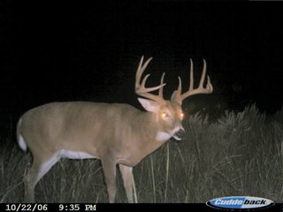 Property photo 6 - 4/S Ranch Land Auction - 5,613 Acres in 3 Tracts - World Class Hunting Property!