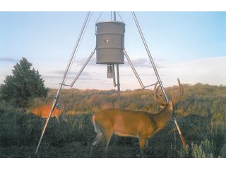 Property photo 28 - 4/S Ranch Land Auction - 5,613 Acres in 3 Tracts - World Class Hunting Property!
