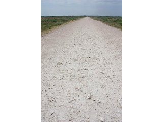 Property photo 12 - 4/S Ranch Land Auction - 5,613 Acres in 3 Tracts - World Class Hunting Property!