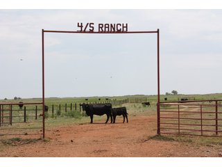 Property photo 8 - 4/S Ranch Land Auction - 5,613 Acres in 3 Tracts - World Class Hunting Property!