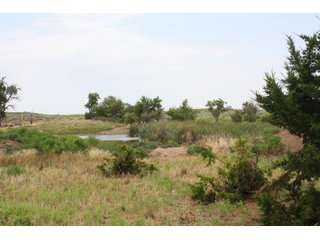 Property photo 3 - 4/S Ranch Land Auction - 5,613 Acres in 3 Tracts - World Class Hunting Property!