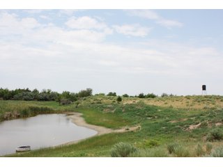 Property photo 13 - 4/S Ranch Land Auction - 5,613 Acres in 3 Tracts - World Class Hunting Property!