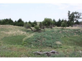 Property photo 7 - 4/S Ranch Land Auction - 5,613 Acres in 3 Tracts - World Class Hunting Property!