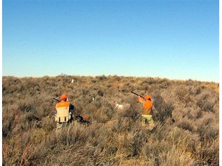 Property photo 14 - 4/S Ranch Land Auction - 5,613 Acres in 3 Tracts - World Class Hunting Property!