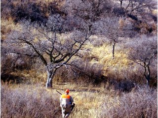Property photo 19 - 4/S Ranch Land Auction - 5,613 Acres in 3 Tracts - World Class Hunting Property!