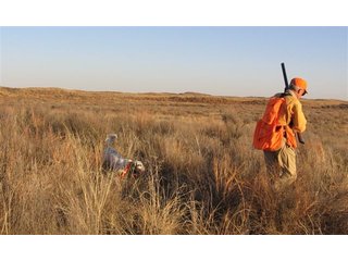 Property photo 10 - 4/S Ranch Land Auction - 5,613 Acres in 3 Tracts - World Class Hunting Property!