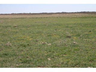 Property photo 18 - 4/S Ranch Land Auction - 5,613 Acres in 3 Tracts - World Class Hunting Property!