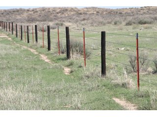 Property photo 22 - 4/S Ranch Land Auction - 5,613 Acres in 3 Tracts - World Class Hunting Property!