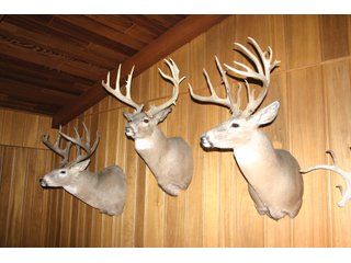 Property photo 26 - 4/S Ranch Land Auction - 5,613 Acres in 3 Tracts - World Class Hunting Property!
