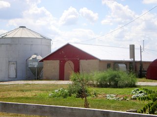 Property photo 4 - 82 +/- Acres Offered in 2 Tracts - Real Estate Auction