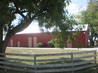 Property photo 3 - 82 +/- Acres Offered in 2 Tracts - Real Estate Auction