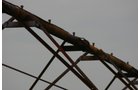 Property photo 63 - 21 Multiple Span Irrigation Pivots, Offered Individually or Combination - Irrigation Equipment Auction