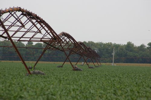 Property photo 71 - 21 Multiple Span Irrigation Pivots, Offered Individually or Combination - Irrigation Equipment Auction