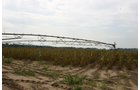 Property photo 214 - 21 Multiple Span Irrigation Pivots, Offered Individually or Combination - Irrigation Equipment Auction