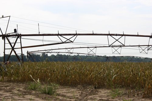 Property photo 17 - 21 Multiple Span Irrigation Pivots, Offered Individually or Combination - Irrigation Equipment Auction