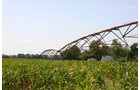 Property photo 109 - 21 Multiple Span Irrigation Pivots, Offered Individually or Combination - Irrigation Equipment Auction