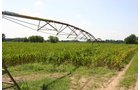 Property photo 234 - 21 Multiple Span Irrigation Pivots, Offered Individually or Combination - Irrigation Equipment Auction