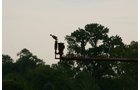 Property photo 210 - 21 Multiple Span Irrigation Pivots, Offered Individually or Combination - Irrigation Equipment Auction
