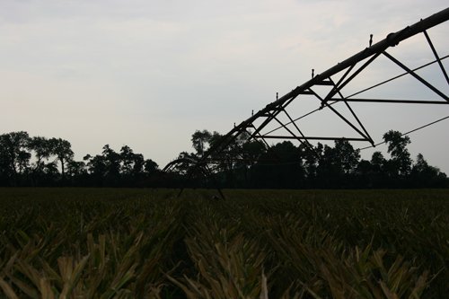 Property photo 9 - 21 Multiple Span Irrigation Pivots, Offered Individually or Combination - Irrigation Equipment Auction