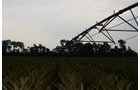 Property photo 9 - 21 Multiple Span Irrigation Pivots, Offered Individually or Combination - Irrigation Equipment Auction