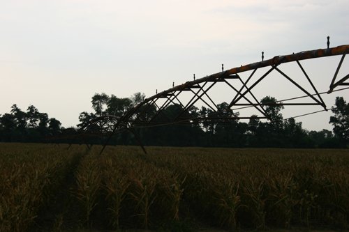 Property photo 175 - 21 Multiple Span Irrigation Pivots, Offered Individually or Combination - Irrigation Equipment Auction