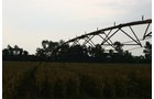 Property photo 175 - 21 Multiple Span Irrigation Pivots, Offered Individually or Combination - Irrigation Equipment Auction
