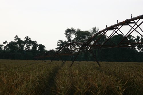 Property photo 81 - 21 Multiple Span Irrigation Pivots, Offered Individually or Combination - Irrigation Equipment Auction