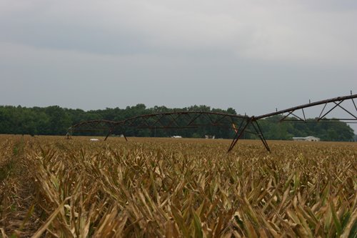 Property photo 227 - 21 Multiple Span Irrigation Pivots, Offered Individually or Combination - Irrigation Equipment Auction