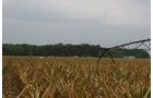 Property photo 227 - 21 Multiple Span Irrigation Pivots, Offered Individually or Combination - Irrigation Equipment Auction