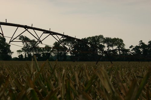 Property photo 164 - 21 Multiple Span Irrigation Pivots, Offered Individually or Combination - Irrigation Equipment Auction