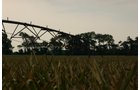 Property photo 164 - 21 Multiple Span Irrigation Pivots, Offered Individually or Combination - Irrigation Equipment Auction