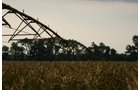 Property photo 21 - 21 Multiple Span Irrigation Pivots, Offered Individually or Combination - Irrigation Equipment Auction