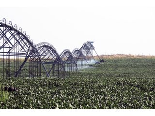 Tract 5 - Kansas FarmLand Auction - 2,717 Acres in 8 Tracts - Mostly Irrigated Farmland