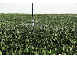 Tract 5 - Kansas FarmLand Auction - 2,717 Acres in 8 Tracts - Mostly Irrigated Farmland
