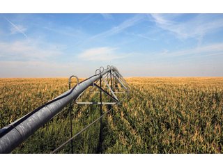 Tract 3 - Kansas FarmLand Auction - 2,717 Acres in 8 Tracts - Mostly Irrigated Farmland