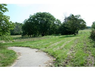 Property photo 51 - 165 +/- Acres Offered in 11 Tracts - Real Estate Auction