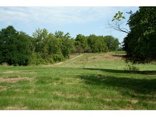 Property photo 12 - 165 +/- Acres Offered in 11 Tracts - Real Estate Auction