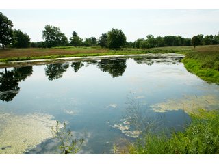 Property photo 17 - 165 +/- Acres Offered in 11 Tracts - Real Estate Auction