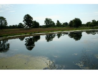 Property photo 10 - 165 +/- Acres Offered in 11 Tracts - Real Estate Auction