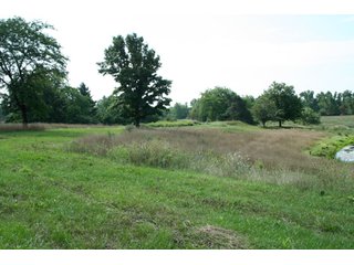Property photo 38 - 165 +/- Acres Offered in 11 Tracts - Real Estate Auction