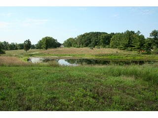 Property photo 4 - 165 +/- Acres Offered in 11 Tracts - Real Estate Auction