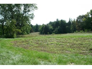 Property photo 3 - 165 +/- Acres Offered in 11 Tracts - Real Estate Auction