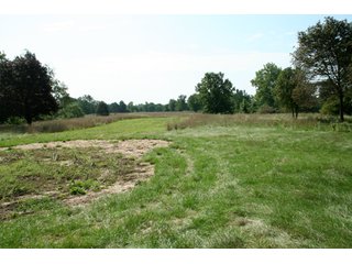 Property photo 22 - 165 +/- Acres Offered in 11 Tracts - Real Estate Auction