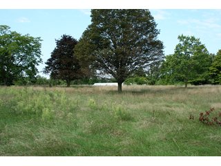 Property photo 20 - 165 +/- Acres Offered in 11 Tracts - Real Estate Auction