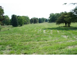 Property photo 44 - 165 +/- Acres Offered in 11 Tracts - Real Estate Auction