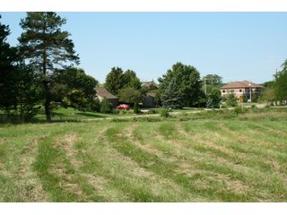 Property photo 36 - 165 +/- Acres Offered in 11 Tracts - Real Estate Auction