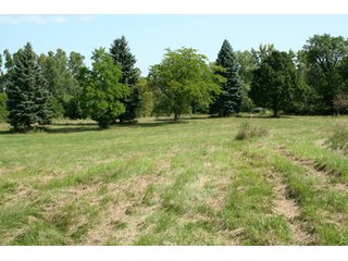 Property photo 23 - 165 +/- Acres Offered in 11 Tracts - Real Estate Auction